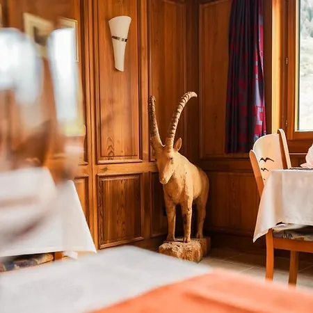 Hotel Alpina