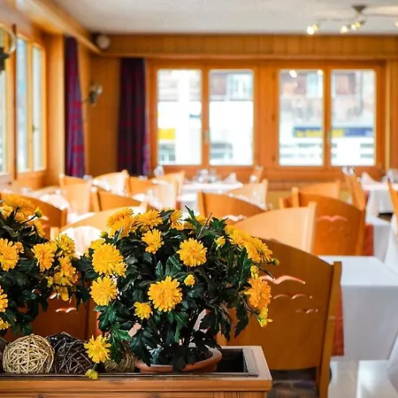 Hotel Alpina Ulrichen