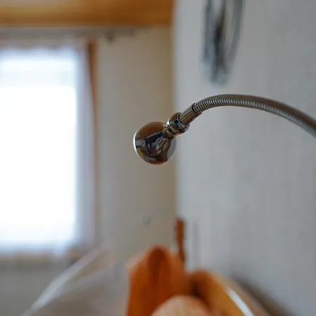 Alpina אולריכן